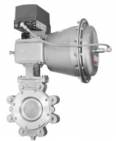 High Performance Butterfly Valves (BHP)